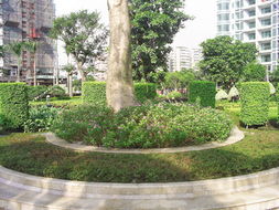 中山最便宜的剪花剪草、園林規劃設計與綠化工程施工全攻略