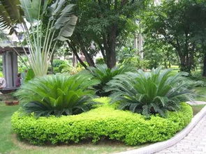 園林綠化工程施工全程詳解與核心標準解讀